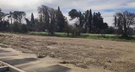 Cruscades Terrain à bâtir - 2435154-11782annonce1202602199FyFh.jpeg Maisons Open