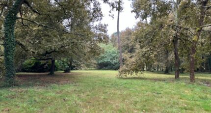 Gujan-Mestras Terrain à bâtir - 2435744-11151annonce120250523NlnJP.jpeg Maisons Open