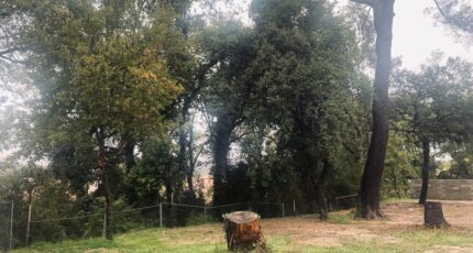 Vernègues Terrain à bâtir - 2435712-3969annonce120260220DhpkL.jpeg Maisons Open