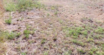 Le Teich Terrain à bâtir - 2435802-11151annonce120251006qQoD0.jpeg Maisons Open