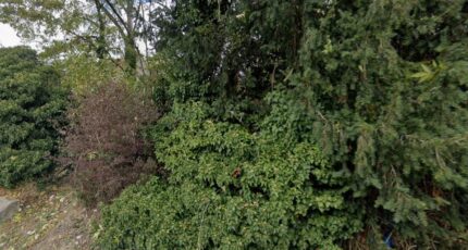 Boussy-Saint-Antoine Terrain à bâtir - 2435838-4684annonce120260220hT69s.jpeg Maisons Open