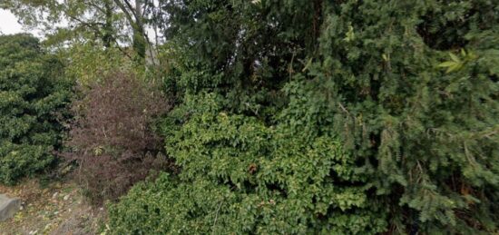 Terrain à bâtir à Boussy-Saint-Antoine, Île-de-France