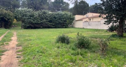 Fontvieille Terrain à bâtir - 2395028-11073annonce420260116REwsL.jpeg Maisons Open