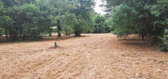 Terrain à bâtir à Salles, Nouvelle-Aquitaine