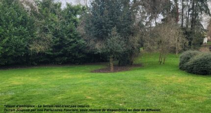 Arpajon Terrain à bâtir - 2435933-4684annonce120260220D8FxV.jpeg Maisons Open