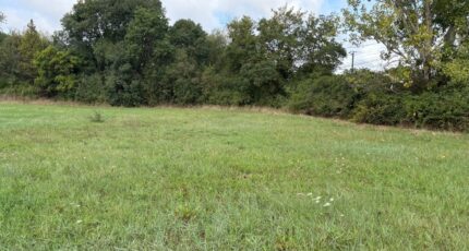 Saint-Sulpice Terrain à bâtir - 2435381-11356annonce220260220mSZi0.jpeg Maisons Open