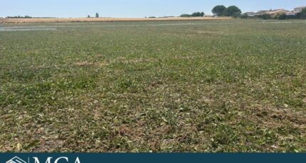 Mornac-sur-Seudre Terrain à bâtir - 2435941-11784annonce120260220TDOcx.jpeg Maisons Open