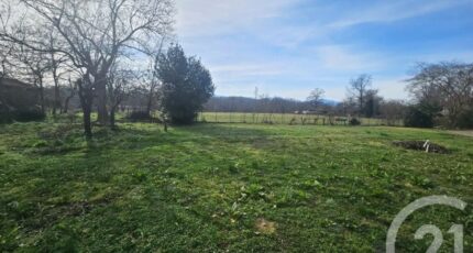 Beauchalot Terrain à bâtir - 2373264-4594annonce120251219WDARy.jpeg Maisons Open