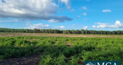 Laluque Terrain à bâtir - 2436253-5828annonce120251003iO8QV.jpeg Maisons Open