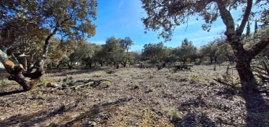 Terrain à bâtir à , Vaucluse