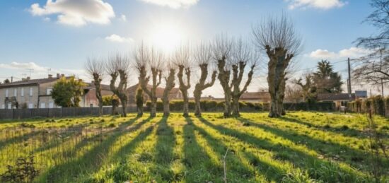 Terrain à bâtir à Arbanats, Nouvelle-Aquitaine