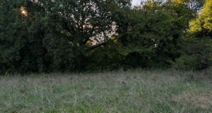 Colayrac-Saint-Cirq Terrain à bâtir - 2430822-11091annonce120260216X1AX4.jpeg Maisons Open