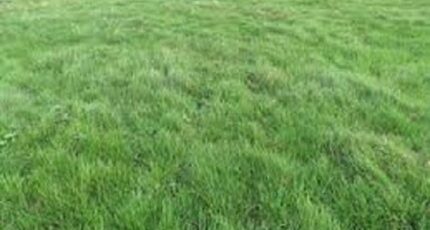 Ury Terrain à bâtir - 2369940-1635annonce120251216vqmhQ.jpeg Maisons Open