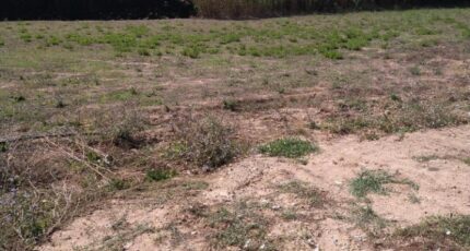 Aubagne Terrain à bâtir - 2382067-7080annonce22026010520mWD.jpeg Maisons Open