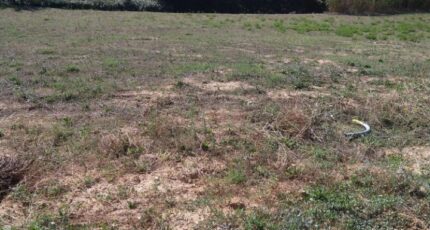 Aubagne Terrain à bâtir - 2391937-7080annonce3202509136atFg.jpeg Maisons Open