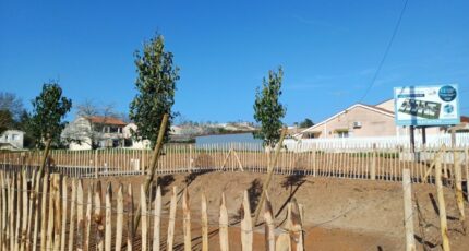 Gond-Pontouvre Terrain à bâtir - 2437131-11800annonce120260223a99WQ.jpeg Maisons Open