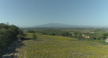 Banyuls-dels-Aspres Terrain à bâtir - 2437243-4671annonce120260223d5RFF.jpeg Maisons Open