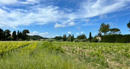 Domazan Terrain à bâtir - 2402559-3418annonce120260122uVi08.jpeg Maisons Open