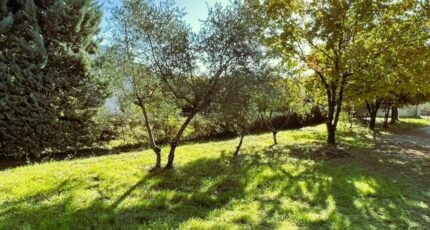 Brignoles Terrain à bâtir - 2437206-10744annonce120251102xSbJa.jpeg Maisons Open