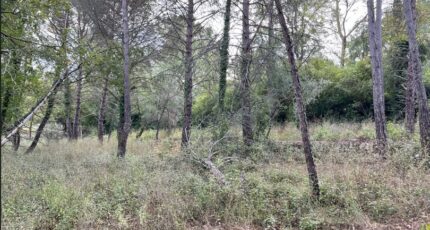 Tourrettes Terrain à bâtir - 2437273-10140annonce120251012T6Ogb.jpeg Maisons Open