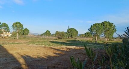 Perpignan Terrain à bâtir - 2437360-4671annonce120260223oBVDW.jpeg Maisons Open