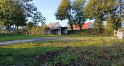 Le Molay-Littry Terrain à bâtir - 2437383-11660annonce320251031xu1IH.jpeg Maisons Open