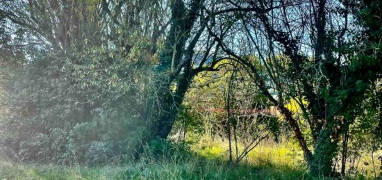 Terrain à bâtir à Aubagne, Provence-Alpes-Côte d'Azur