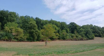 Saint-Martin-de-Ribérac Terrain à bâtir - 2437294-9455annonce220260223U70aD.jpeg Maisons Open