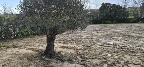 Terrain à bâtir à Ramonville-Saint-Agne, Occitanie