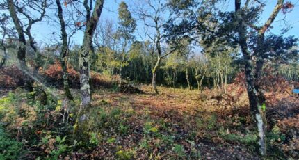 Labastide-de-Virac Terrain à bâtir - 2437324-5100annonce3202602230m4sP.jpeg Maisons Open