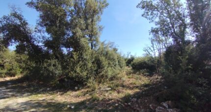 Orgnac-l'Aven Terrain à bâtir - 2437361-5100annonce120260223bneSP.jpeg Maisons Open