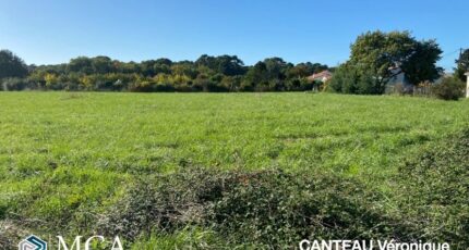 Saint-Palais-sur-Mer Terrain à bâtir - 2437761-11163annonce1202602237tQQv.jpeg Maisons Open