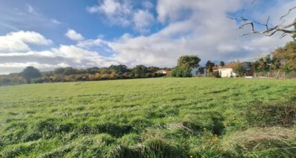 Saint-Palais-sur-Mer Terrain à bâtir - 2437844-3362annonce120260223ySRHT.jpeg Maisons Open