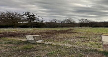 Lasserre-de-Prouille Terrain à bâtir - 2437978-10986annonce120260223SyRZf.jpeg Maisons Open