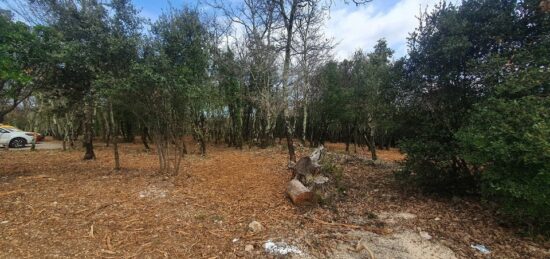 Terrain à bâtir à Labastide-de-Virac, Auvergne-Rhône-Alpes
