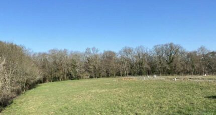 Bouliac Terrain à bâtir - 2437973-11370annonce120251014iQFbq.jpeg Maisons Open