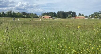 Le Taillan-Médoc Terrain à bâtir - 2437985-11370annonce1202510141TS6o.jpeg Maisons Open