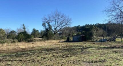 Le Porge Terrain à bâtir - 2438010-11370annonce120251014Kv3c4.jpeg Maisons Open