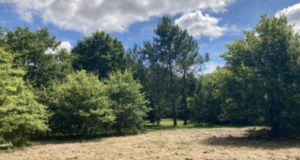 Le Taillan-Médoc Terrain à bâtir - 2438068-11370annonce120251118eWBRT.jpeg Maisons Open