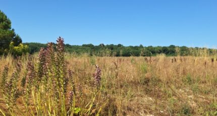 Meursac Terrain à bâtir - 2438113-3362annonce220260223vZvmK.jpeg Maisons Open