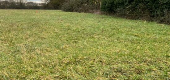 Terrain à bâtir à Saint-Cosme-en-Vairais, Pays de la Loire