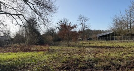 Villandraut Terrain à bâtir - 2438387-10677annonce120260223BQtLd.jpeg Maisons Open