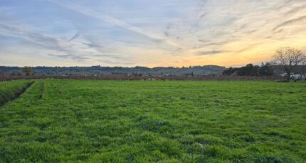 Saint-Laurent-des-Vignes Terrain à bâtir - 2408351-7107annonce420260127i5rlf.jpeg Maisons Open