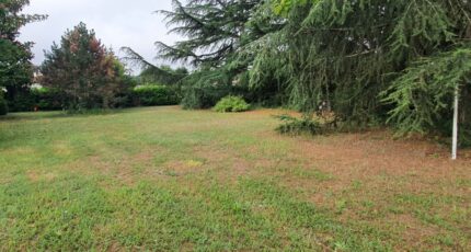 Cadillac-en-Fronsadais Terrain à bâtir - 2423918-11015annonce120260210bDVLJ.jpeg Maisons Open