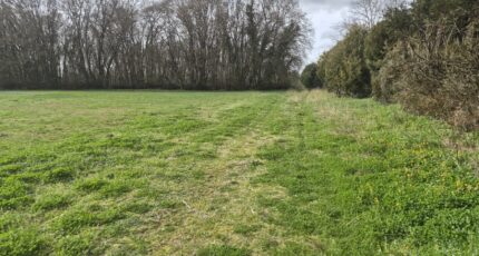 Gémozac Terrain à bâtir - 2438351-11760annonce120260223Xzesz.jpeg Maisons Open