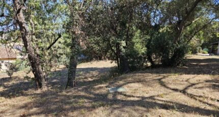 Roquebrune-sur-Argens Terrain à bâtir - 2438800-5163annonce320260224ISoss.jpeg Maisons Open