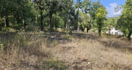 Callian Terrain à bâtir - 2438801-5163annonce120260224hHCTQ.jpeg Maisons Open