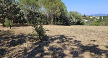 Roquebrune-sur-Argens Terrain à bâtir - 2438799-5163annonce320260224snllv.jpeg Maisons Open