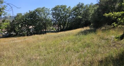 Roquebrune-sur-Argens Terrain à bâtir - 2438806-5163annonce120260224ZohtU.jpeg Maisons Open