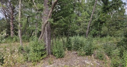 Tourrettes Terrain à bâtir - 2438804-5163annonce120260224aogyg.jpeg Maisons Open